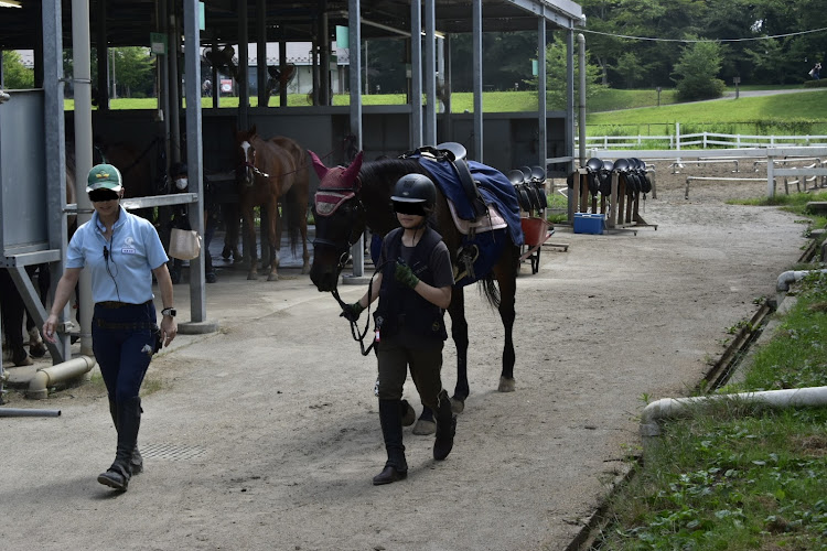 デミオの山と愛車・帰省終了・夏休み終了・夏競馬・札幌競馬場に関するカスタム事例の投稿画像7枚目