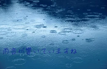 雨音が響いていますね