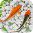 Fish Live Wallpaper Aquarium icon