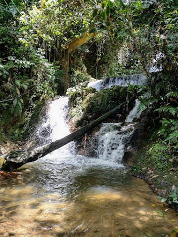 Lata Merkor or Geruntum Falls Gopeng