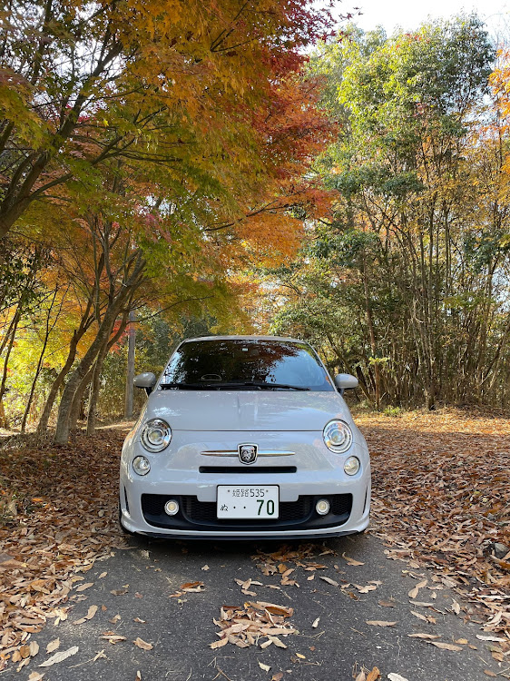 500の朝・暮秋・色鮮やか・車のメンテナンス予定・プチカスタム予定に関するカスタム事例の投稿画像1枚目