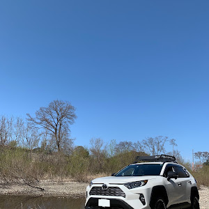 RAV4 MXAA54