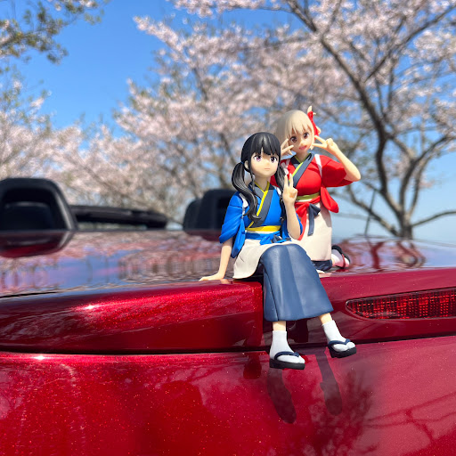 たいぷあーるのプロフィール画像