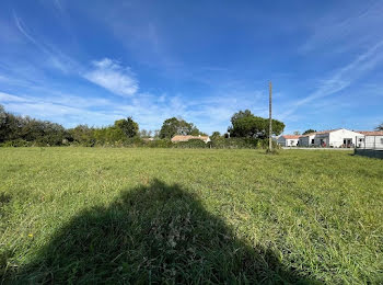 terrain à Notre-Dame-de-Riez (85)