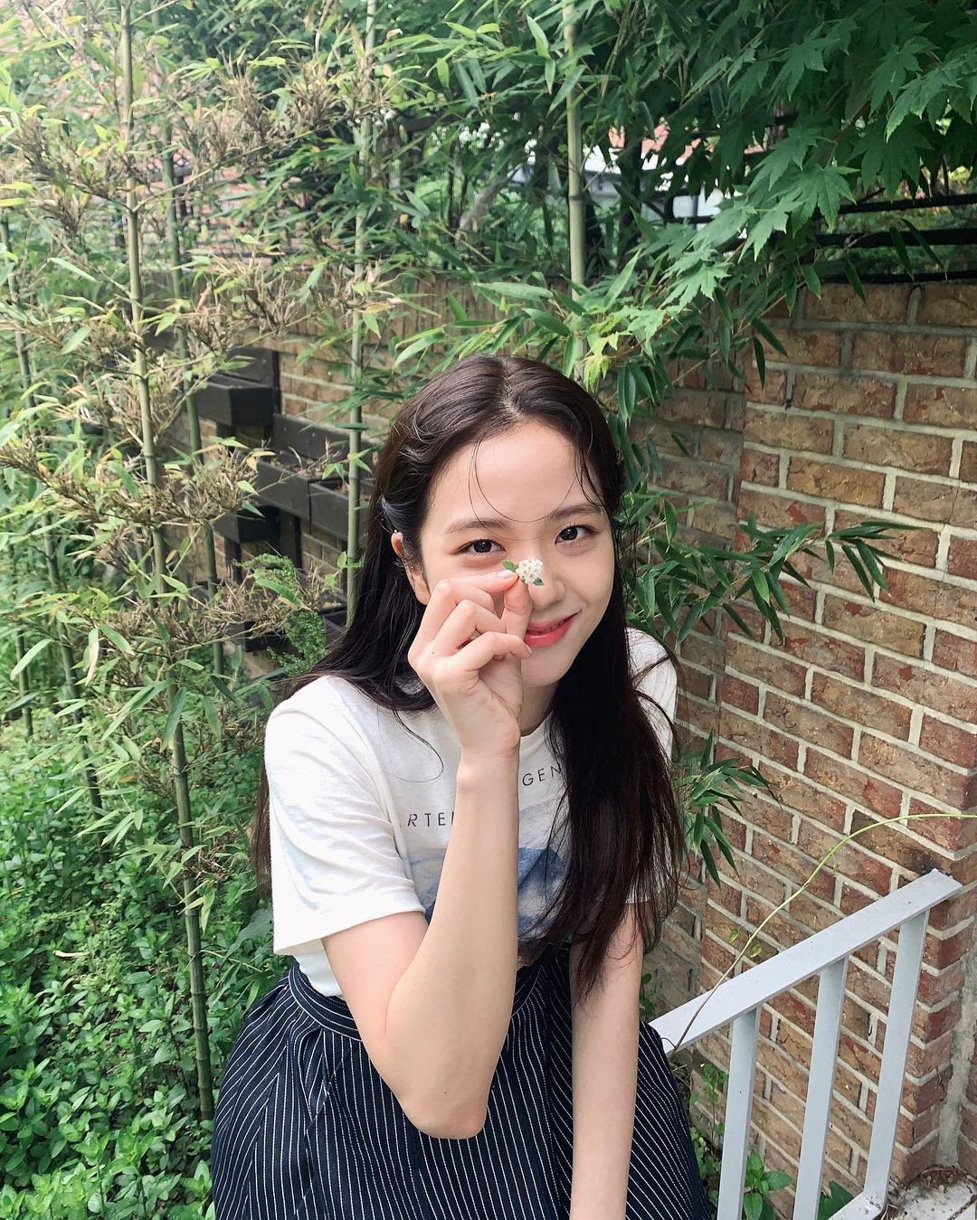 jisoo fresh