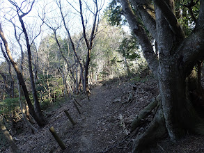 古墳群の左斜面を進む