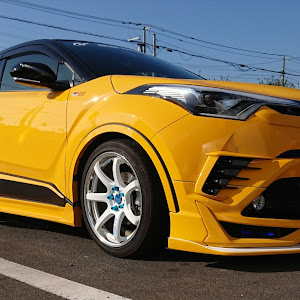 C-HR ZYX10