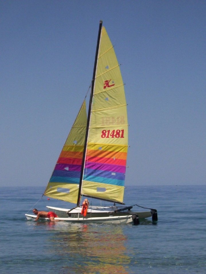 Giallo...in un mare di blu di titi15