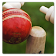 Chauka Cricket Scoring App icon