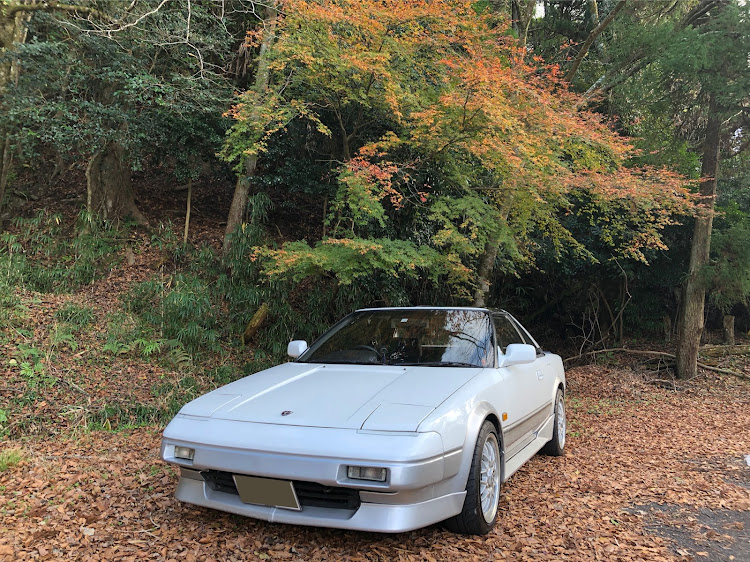 MR2の秋のドライブに関するカスタム事例の投稿画像2枚目