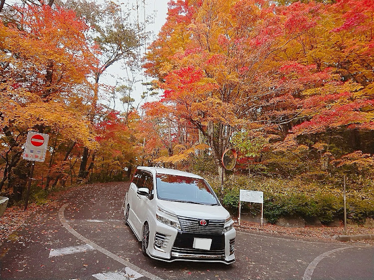 ヴォクシーの峠道・枯れ木と愛車・冬の訪れに関するカスタム事例の投稿画像3枚目