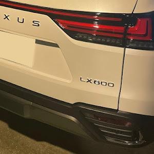 LX