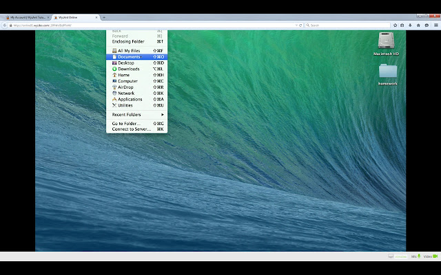 Wyzant Screen Sharing screenshot