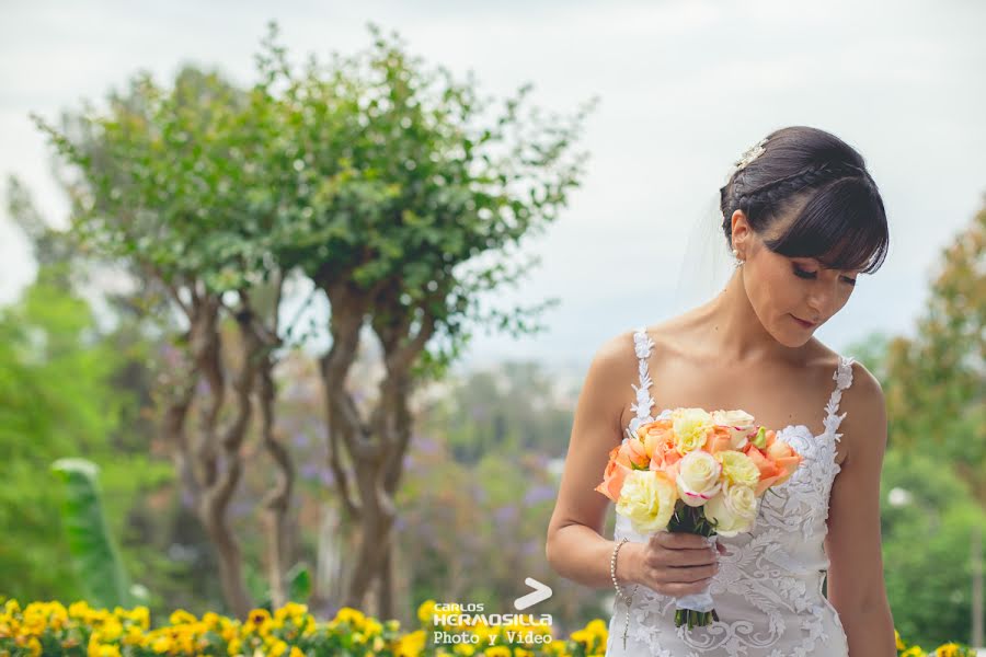 Wedding photographer Carlos Hermosilla (charlie33). Photo of 29 January 2019