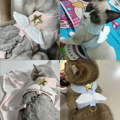 Pet Angel Wing Vest Harness with Leash Kawaii Personalized for Cat Dog Harness Necklace Accessories Cat Harness Leash 4 