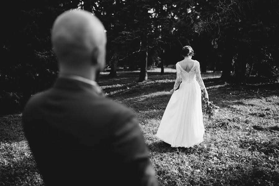 Fotógrafo de casamento Sergey Galushka (sgfoto). Foto de 26 de setembro 2017