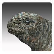 Iguana Baby Escape 1.2 Icon