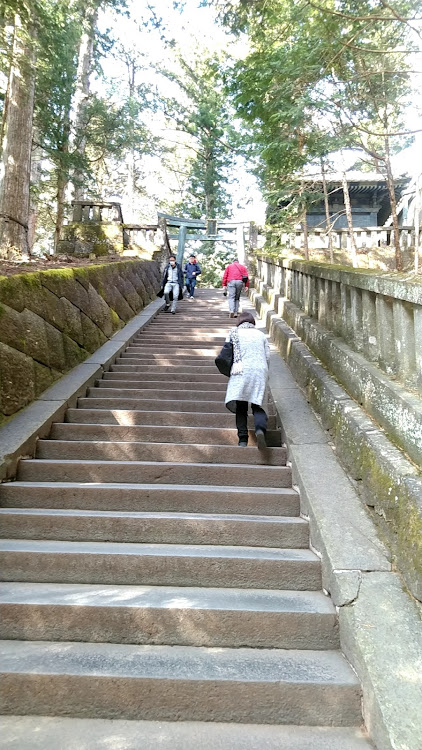 の投稿画像28枚目