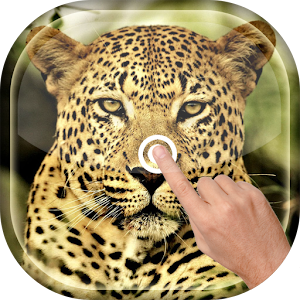 Magic Touch - Leopard LWP  Icon