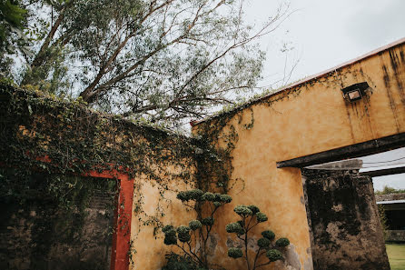 Fotografo di matrimoni José Luis Hernández Grande (joseluisphoto). Foto del 31 maggio 2019