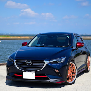 CX-3 DKEFW