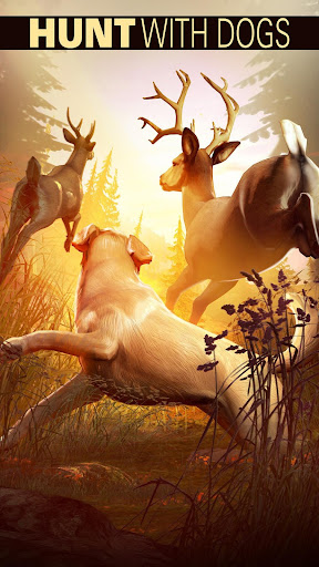 DEER HUNTER 2017 Spiel Hack Online