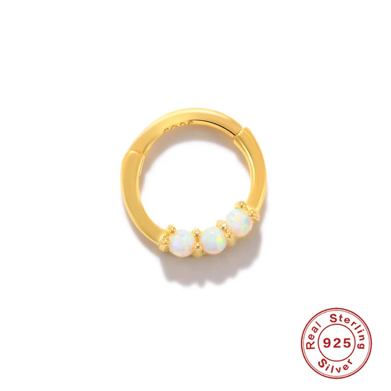 Sterling Silber Nasenring nahtlos, Knorpel Piercing, geteilter Ring, schlichtes Design, hypoallergen, einfach einzusetzen.