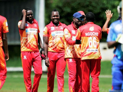 Stray Lions players celebrates wicket in a past match. They lost their four match over the weekend