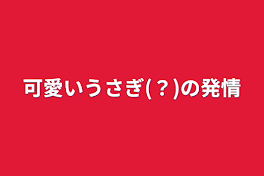 可愛いうさぎ(？)の発情