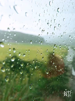 愛し愛され。そして永遠。最終話