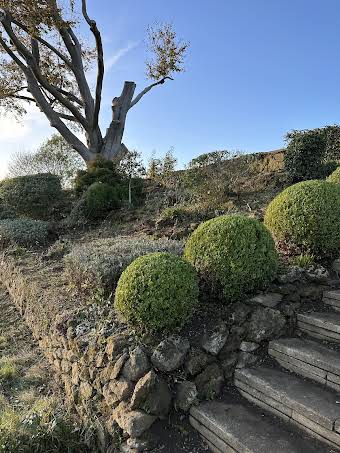 Brick/Stone Cleaning  album cover