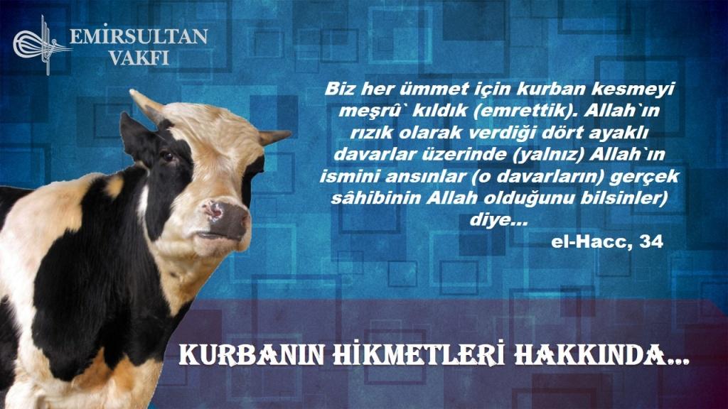 kurbanin-hikmetleri