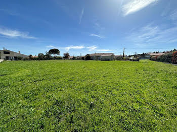 terrain à Muret (31)