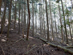 登りに