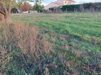 terrain à Bruguières (31)