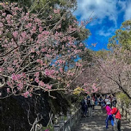 【台北新板希爾頓酒店】青雅中餐廳