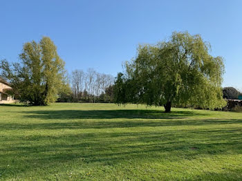 terrain à Chivres (21)