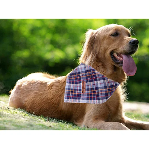 Unique Style Paws Dog & Cat Small Bandana Scarf Adjustable Dog Bandana Christmas Personalized Pet Products