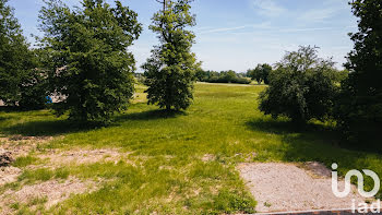 terrain à Montauban (82)