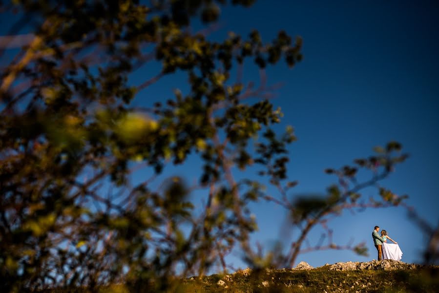 Fotografo di matrimoni Alin Sirb (alinsirb). Foto del 25 ottobre 2016