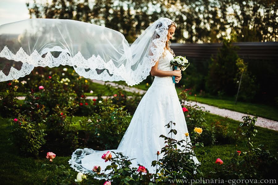 Fotografo di matrimoni Polina Egorova (polinariaegorova). Foto del 26 maggio 2016