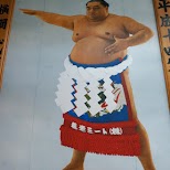 yokozuna - highest class of sumo in Tokyo, Tokyo, Japan