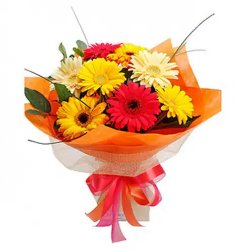 12 Gerberas Bouquet