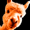 Item logo image for Alpaca