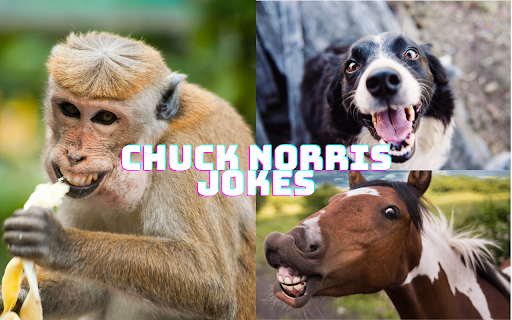 Chuck Norris Jokes