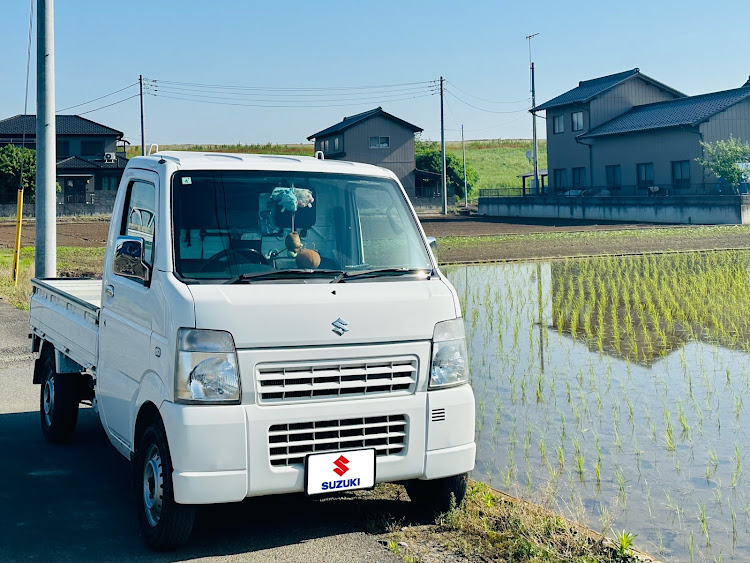 の投稿画像3枚目