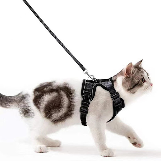 Title 8, Breathable Chest Strap with Reflective Design a...