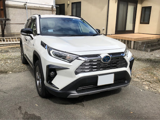 トヨタ RAV4 rav4 フォグガーニッシュ【C519】