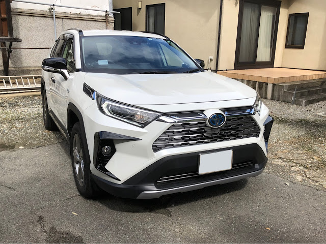 トヨタ RAV4 rav4 フォグガーニッシュ【C519】 | www.fleettracktz.com