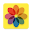 Photograph Wallpapers Download on Windows